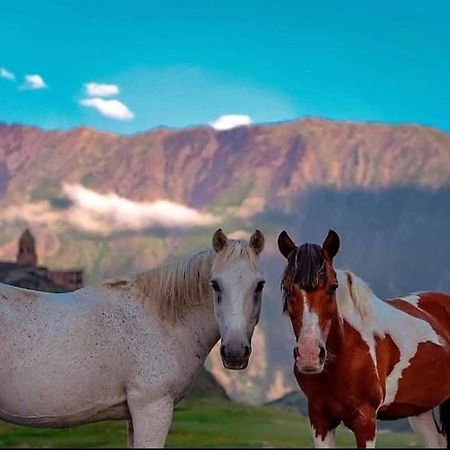 Mariami Hotel Kazbegi Ngoại thất bức ảnh