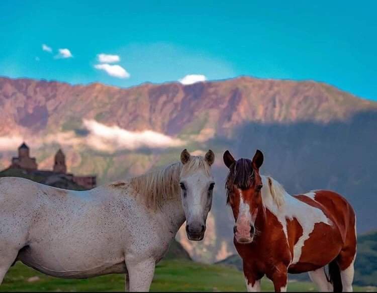 Mariami Hotel Kazbegi Ngoại thất bức ảnh