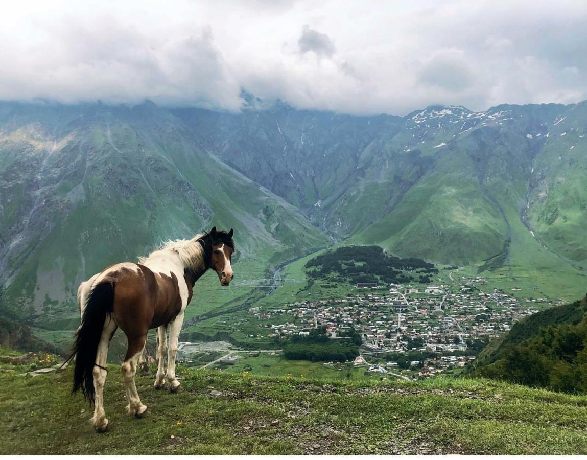 Mariami Hotel Kazbegi Ngoại thất bức ảnh