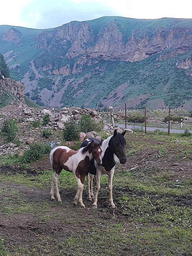 Mariami Hotel Kazbegi Ngoại thất bức ảnh